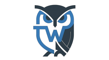 Techwise Consulting logo